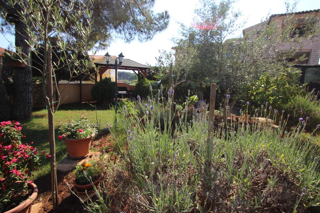 Appartement Jeromela
